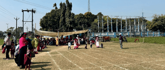 School Grounds